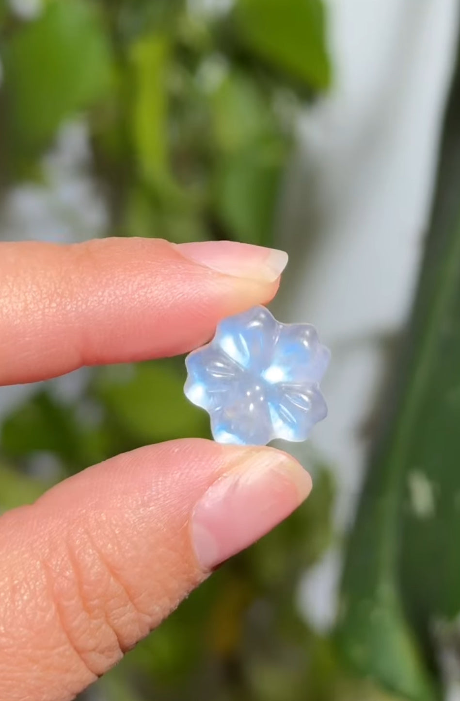 
                  
                    RESERVED LISTING - im_just_walkin_here
                  
                