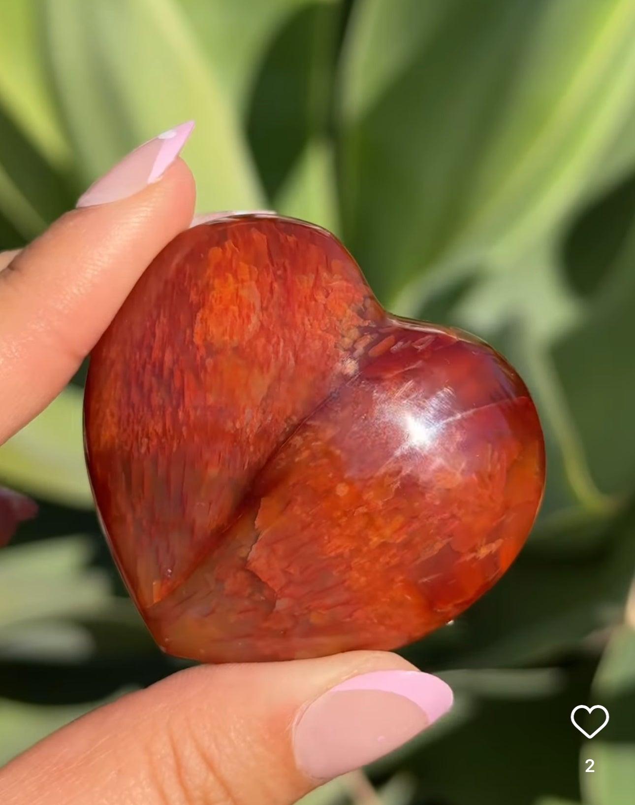 
                  
                    RESERVED LISTING - catniss_evergreen
                  
                