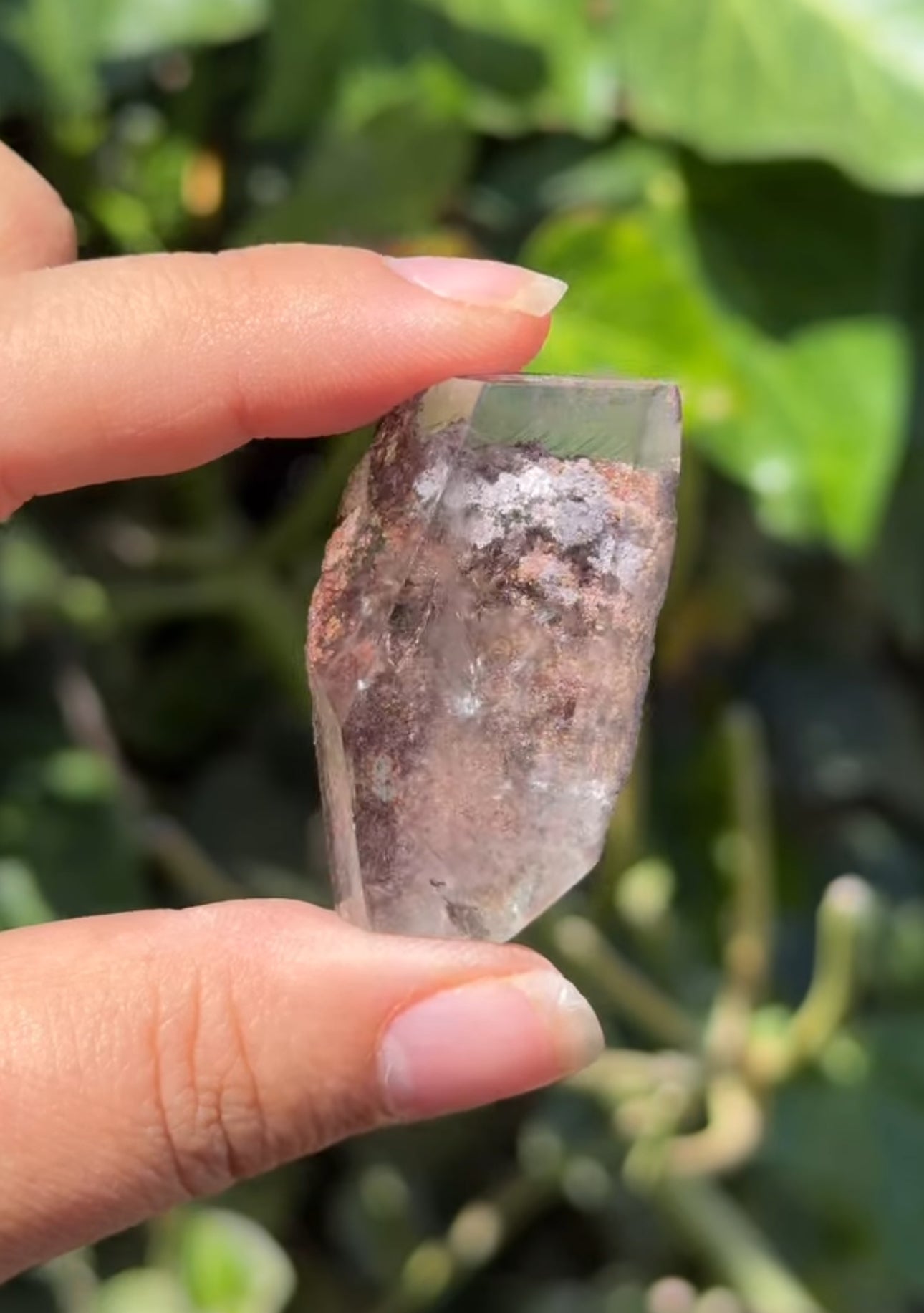 
                  
                    RESERVED LISTING - thewaters_and_thewild
                  
                