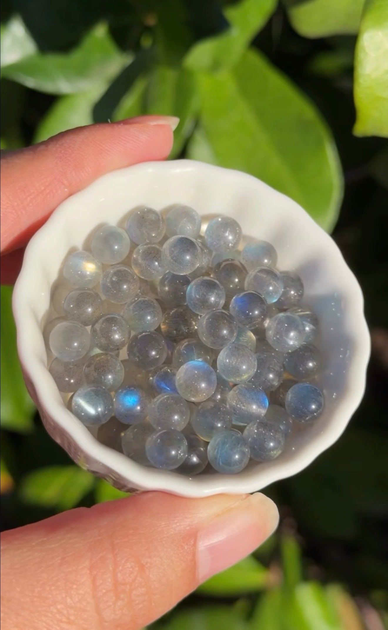 
                  
                    RESERVED LISTING - lavender.starlight.dreams
                  
                