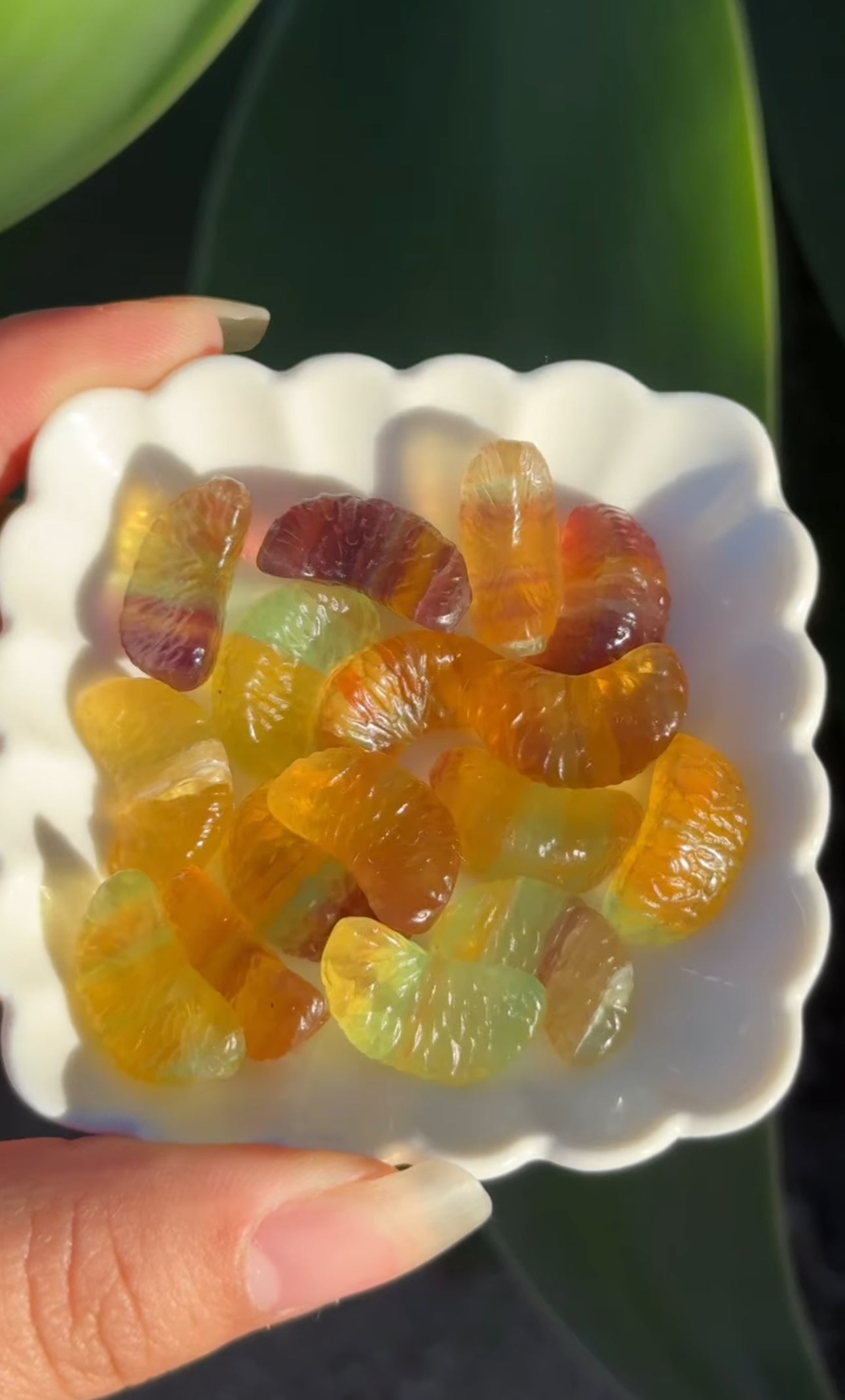 
                  
                    RESERVED LISTING - apollothelifesavingservicedog
                  
                