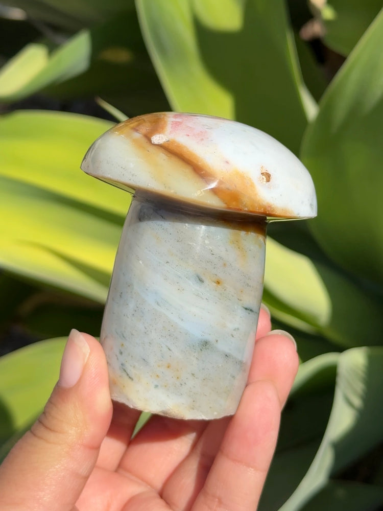 
                  
                    Ocean Jasper Mushroom
                  
                