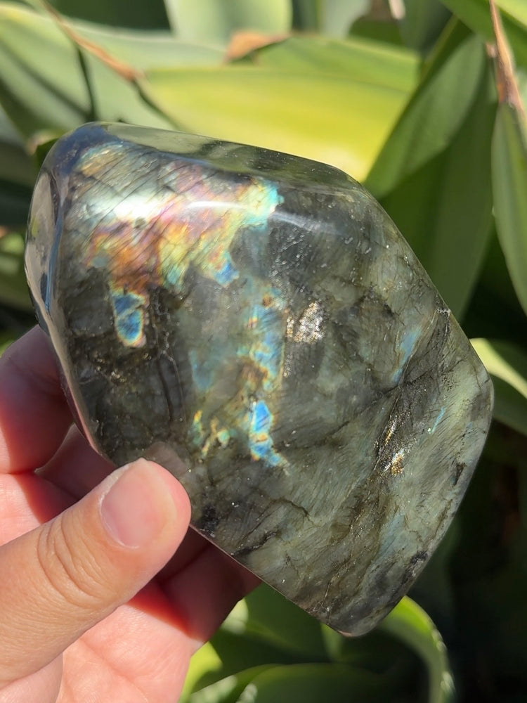 
                  
                    Labradorite Freeform
                  
                