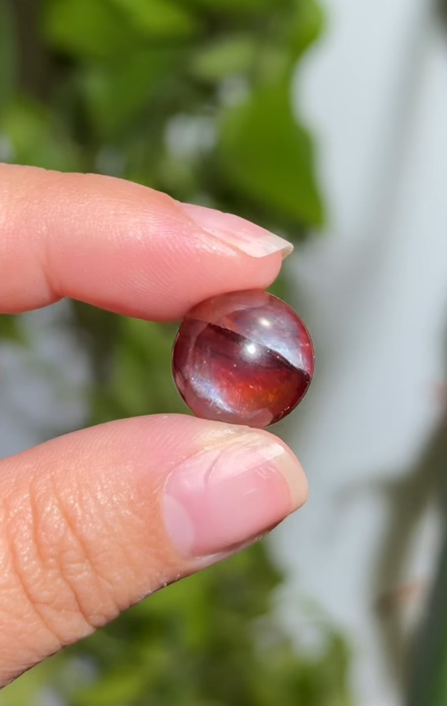 
                  
                    RESERVED LISTING - solarly_challenged
                  
                