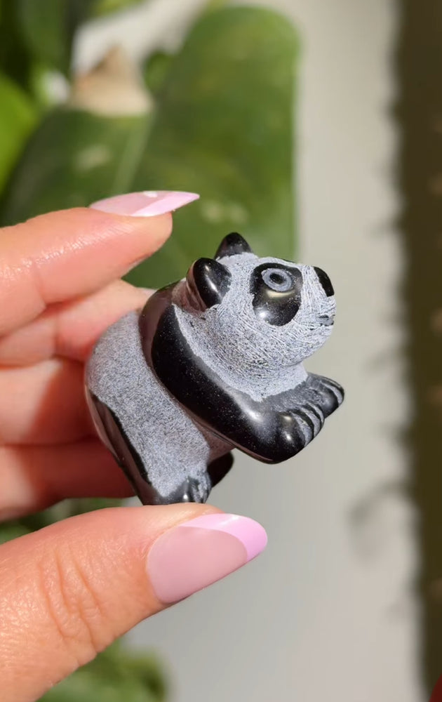 
                  
                    RESERVED LISTING - apollothelifesavingservicedog
                  
                