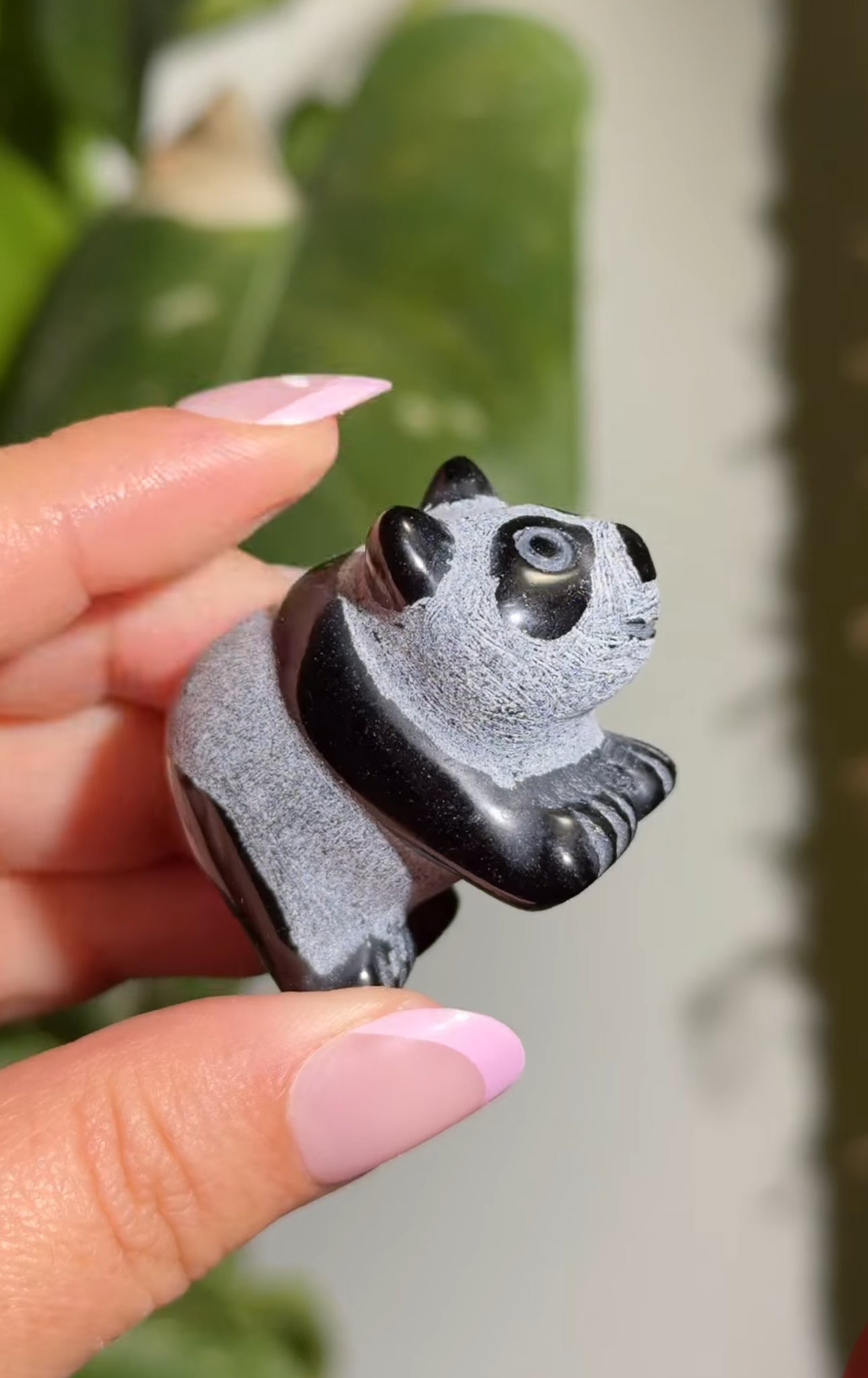 
                  
                    RESERVED LISTING - apollothelifesavingservicedog
                  
                