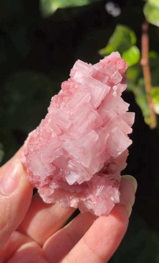 
                  
                    RESERVED LISTING - carly.cylar_
                  
                