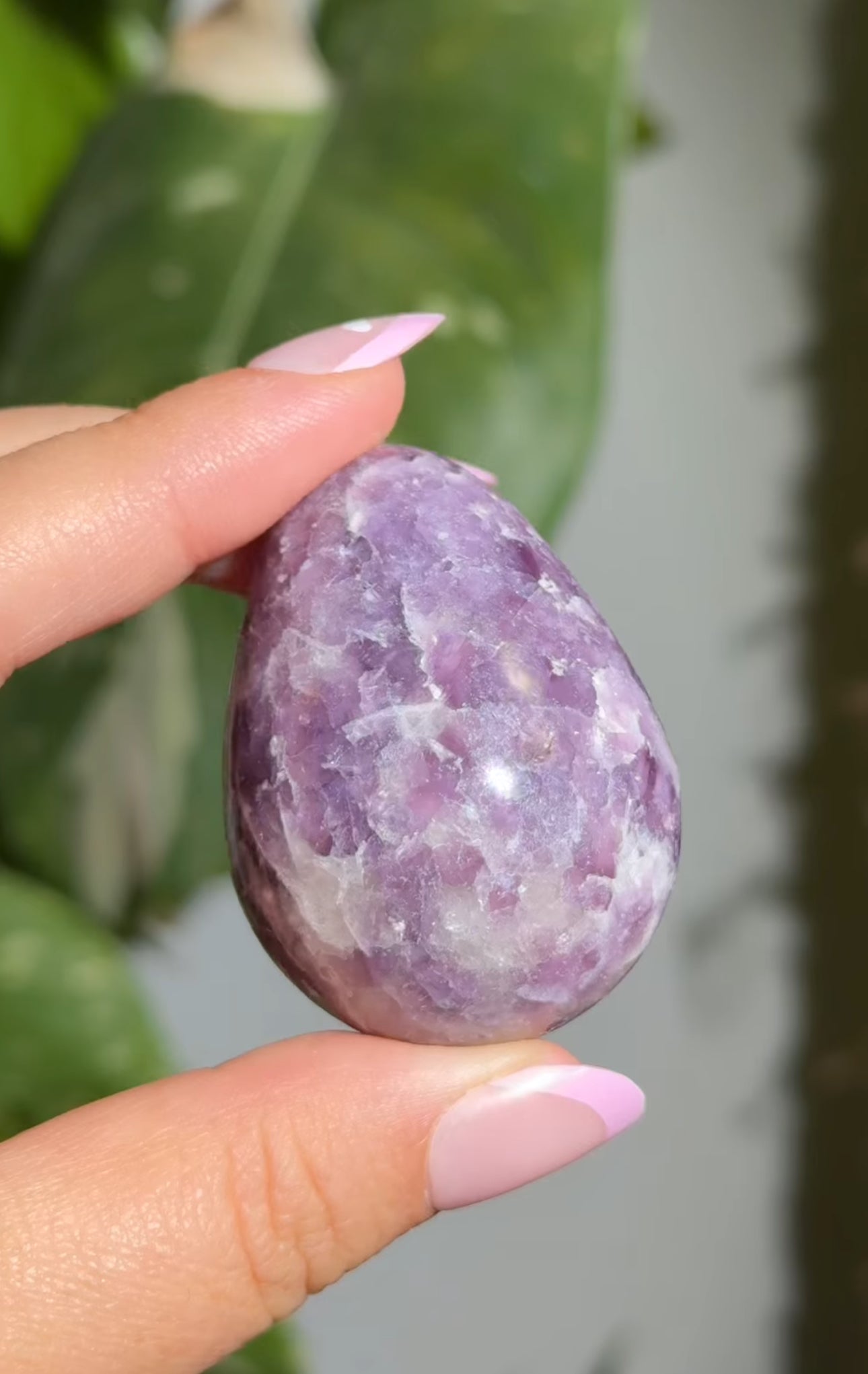 
                  
                    RESERVED LISTING - apollothelifesavingservicedog
                  
                