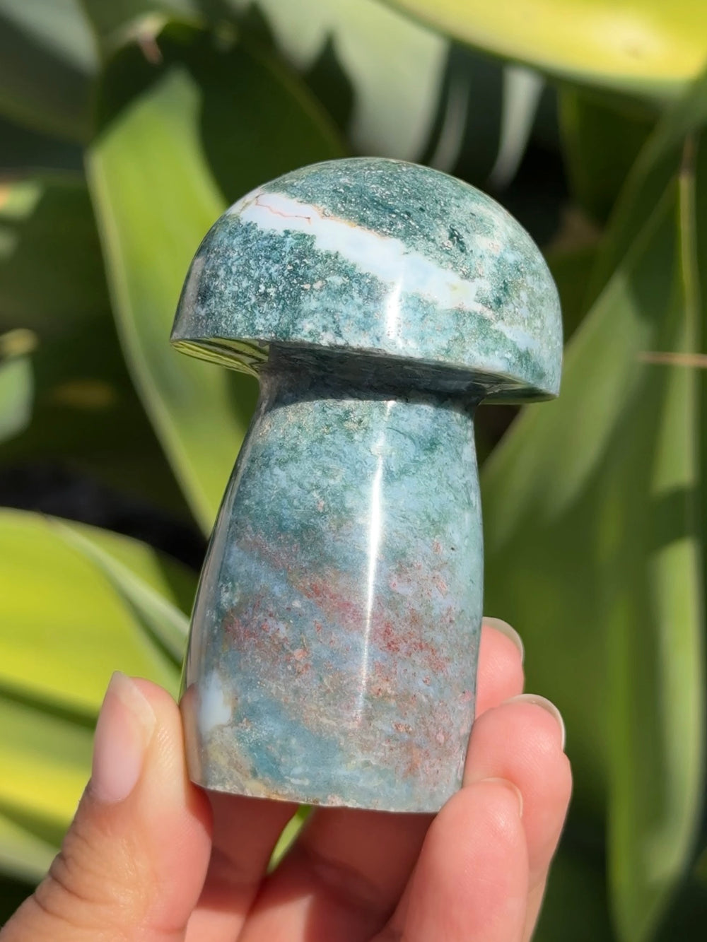 Ocean Jasper Mushroom