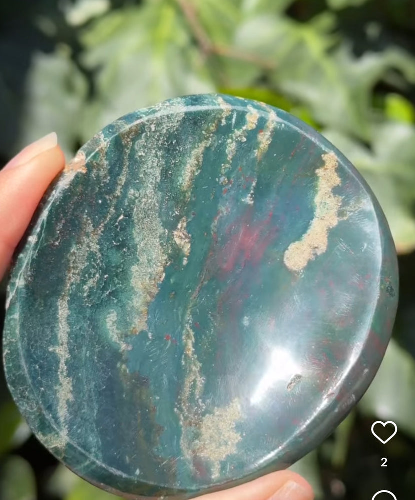 
                  
                    RESERVED LISTING - apollothelifesavingservicedog
                  
                