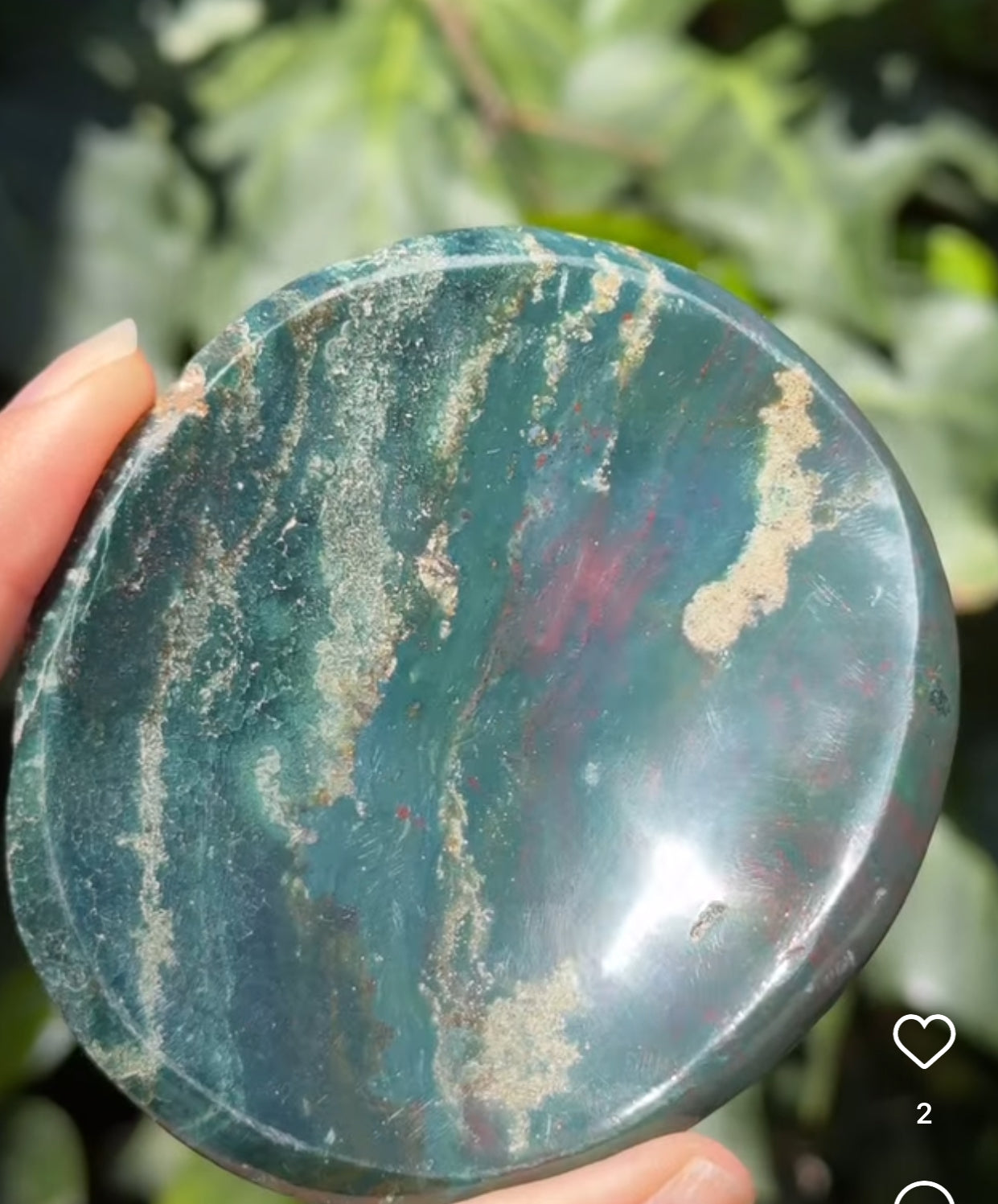 
                  
                    RESERVED LISTING - apollothelifesavingservicedog
                  
                