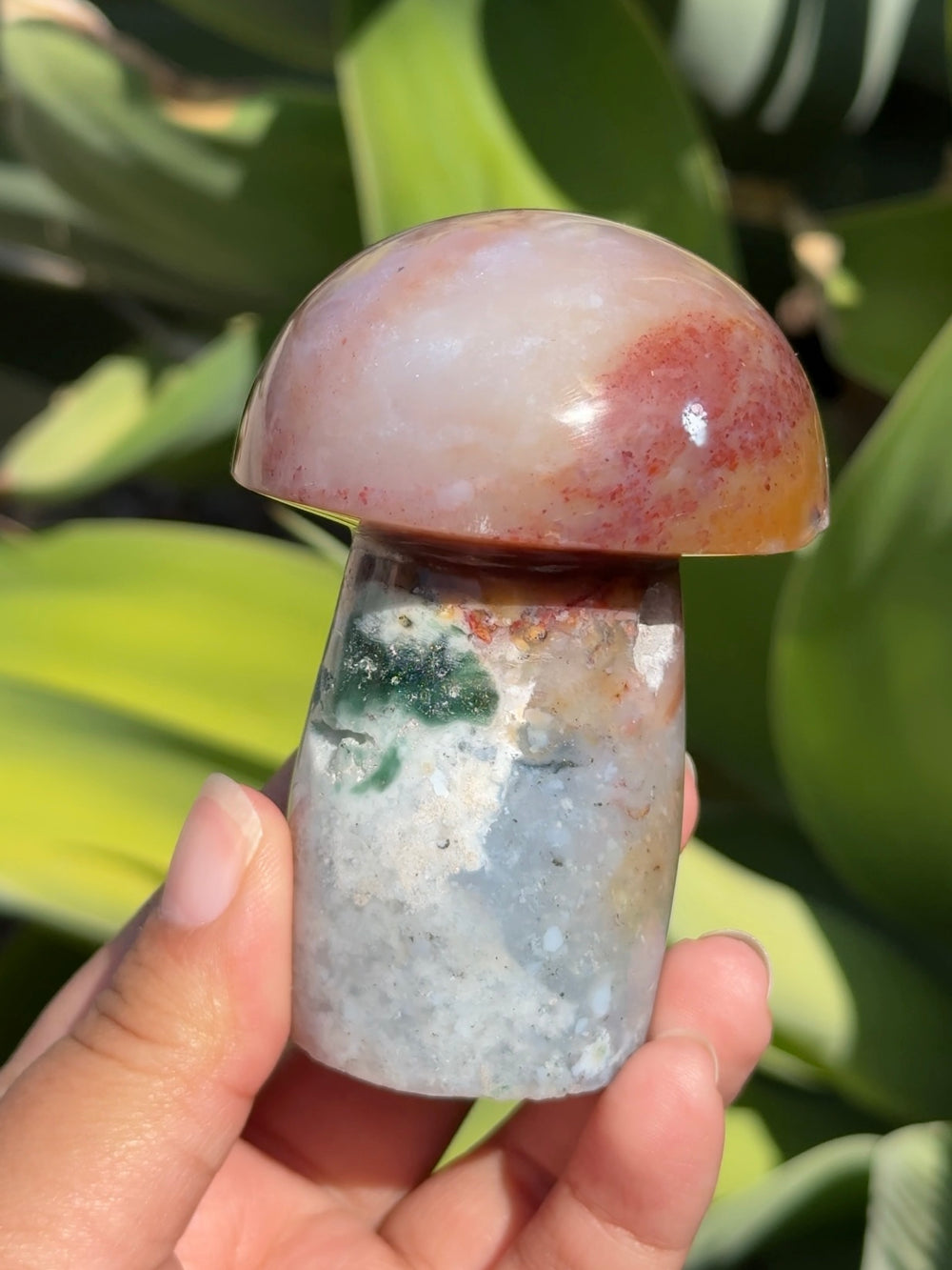 Ocean Jasper Mushroom