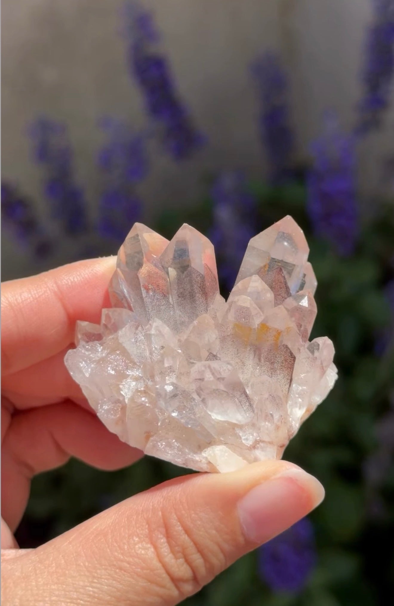 
                  
                    RESERVED LISTING - tammysdolphincrystalpalace23
                  
                