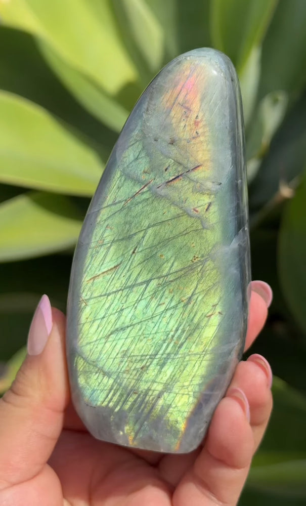 
                  
                    RESERVED LISTING - jessicasoloverly
                  
                