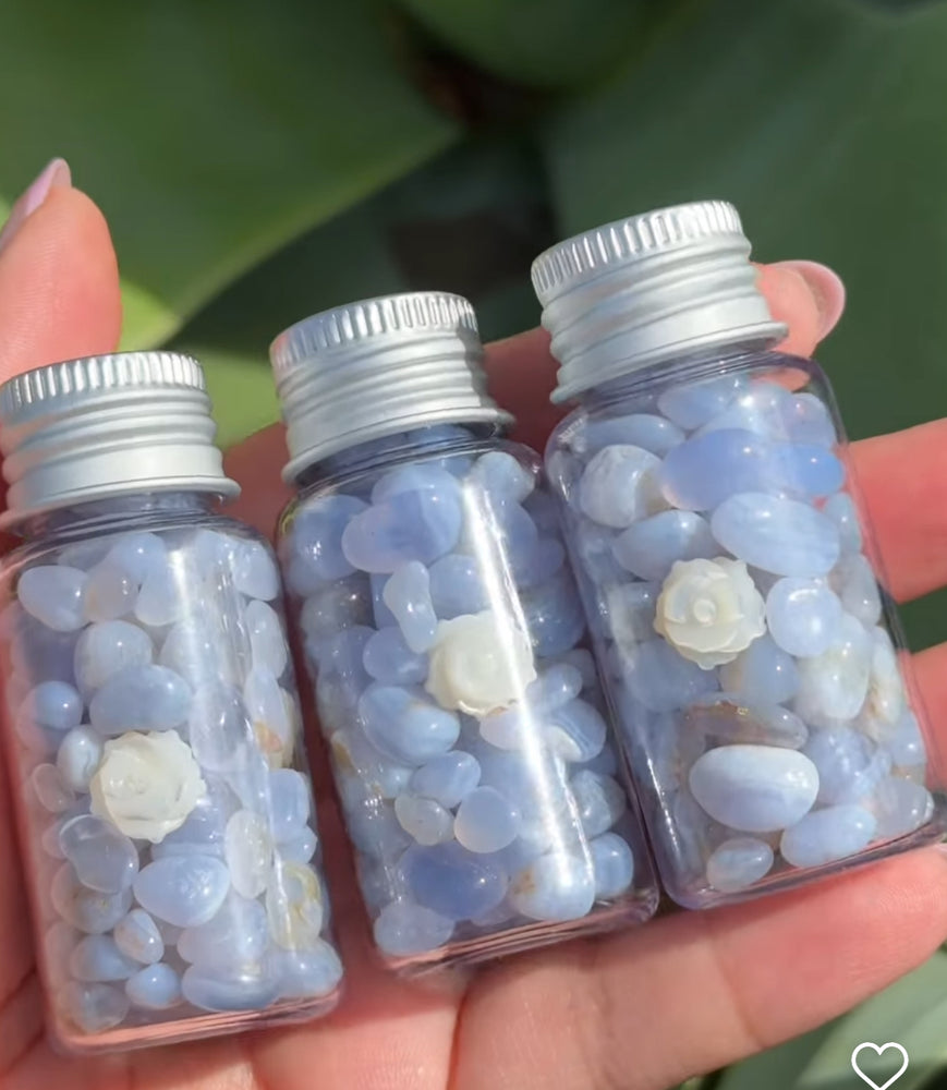 
                  
                    RESERVED LISTING - erinfetz
                  
                