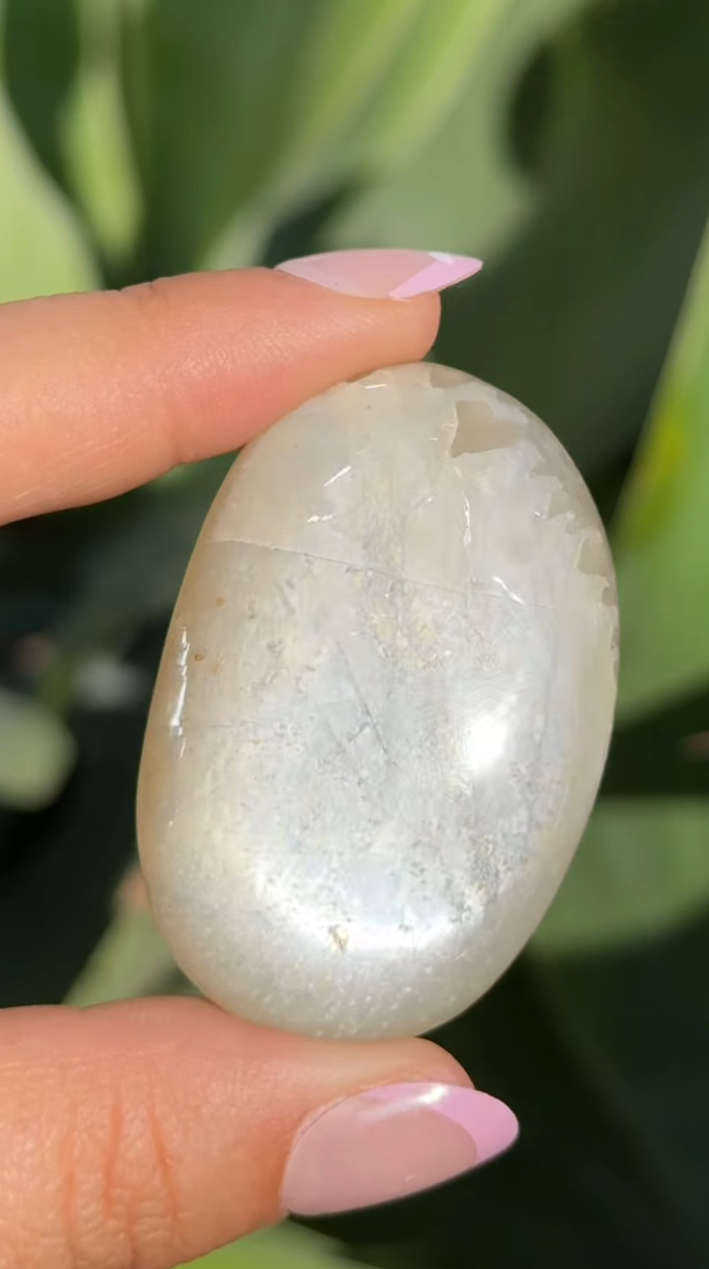 
                  
                    RESERVED LISTING - princessbratsicle
                  
                