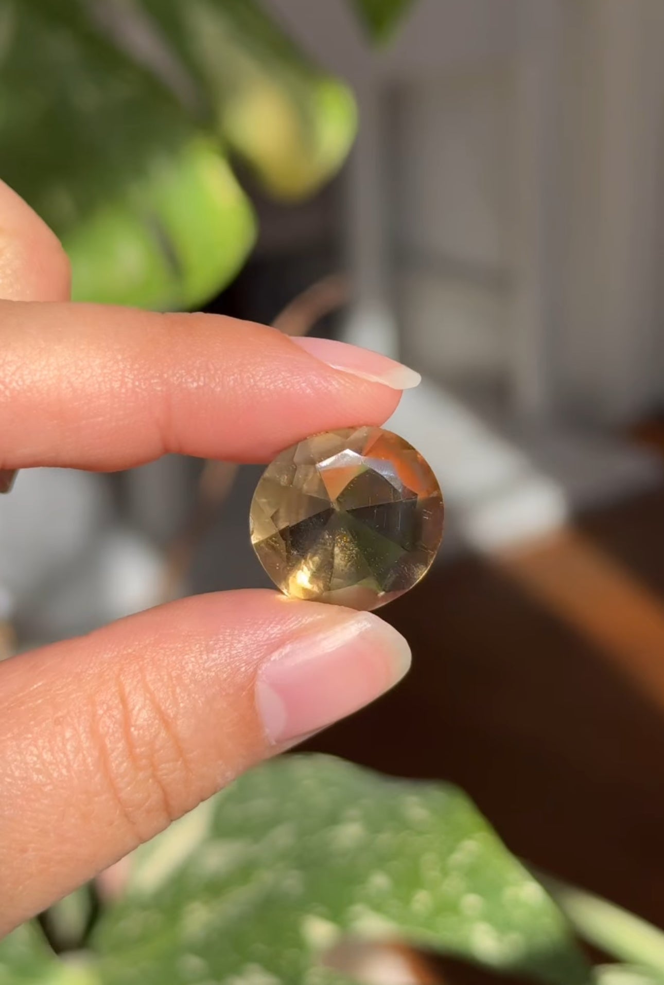 
                  
                    RESERVED LISTING - huskies_n_mom
                  
                