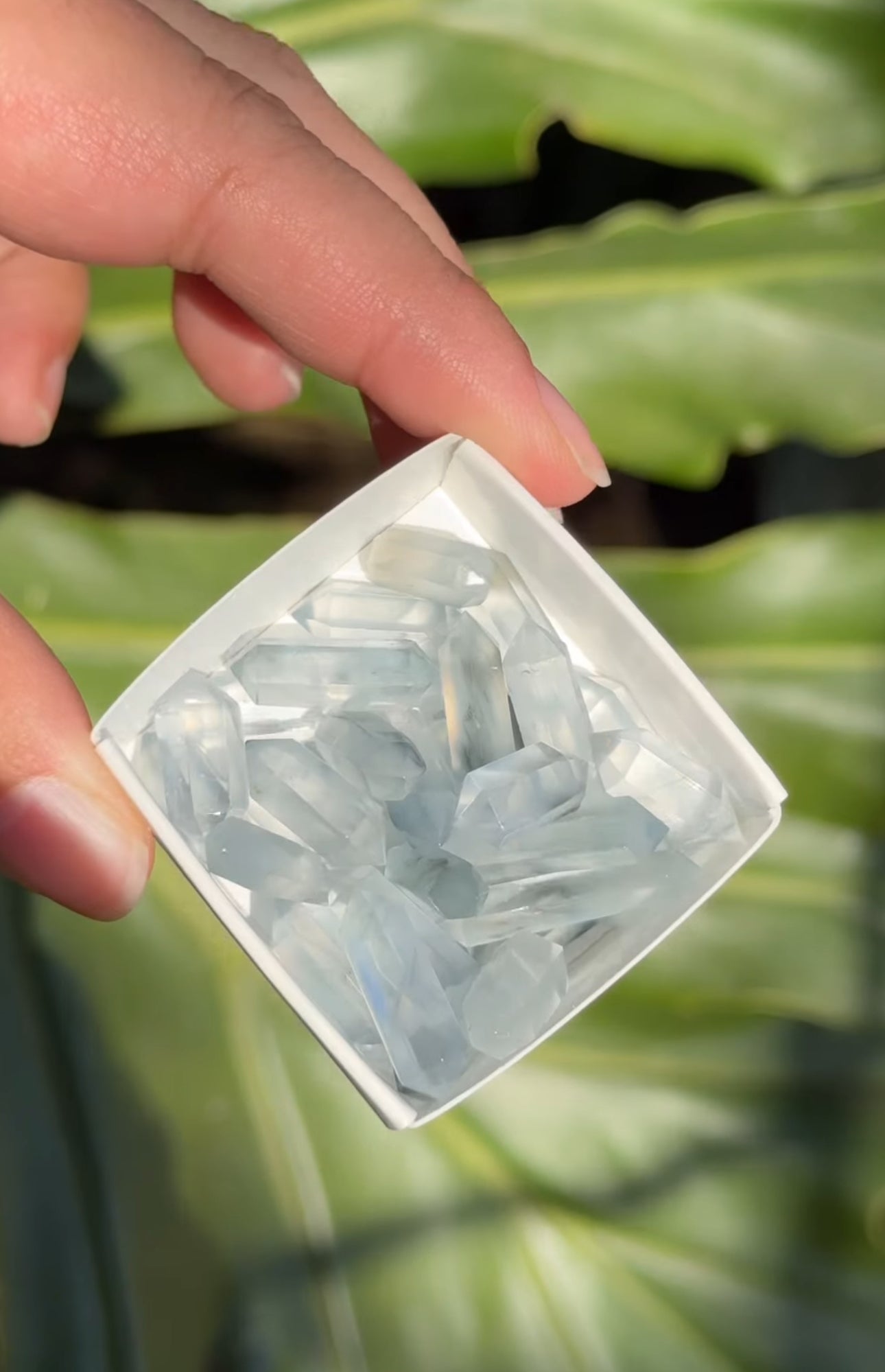 
                  
                    RESERVED LISTING - lakinhengel
                  
                