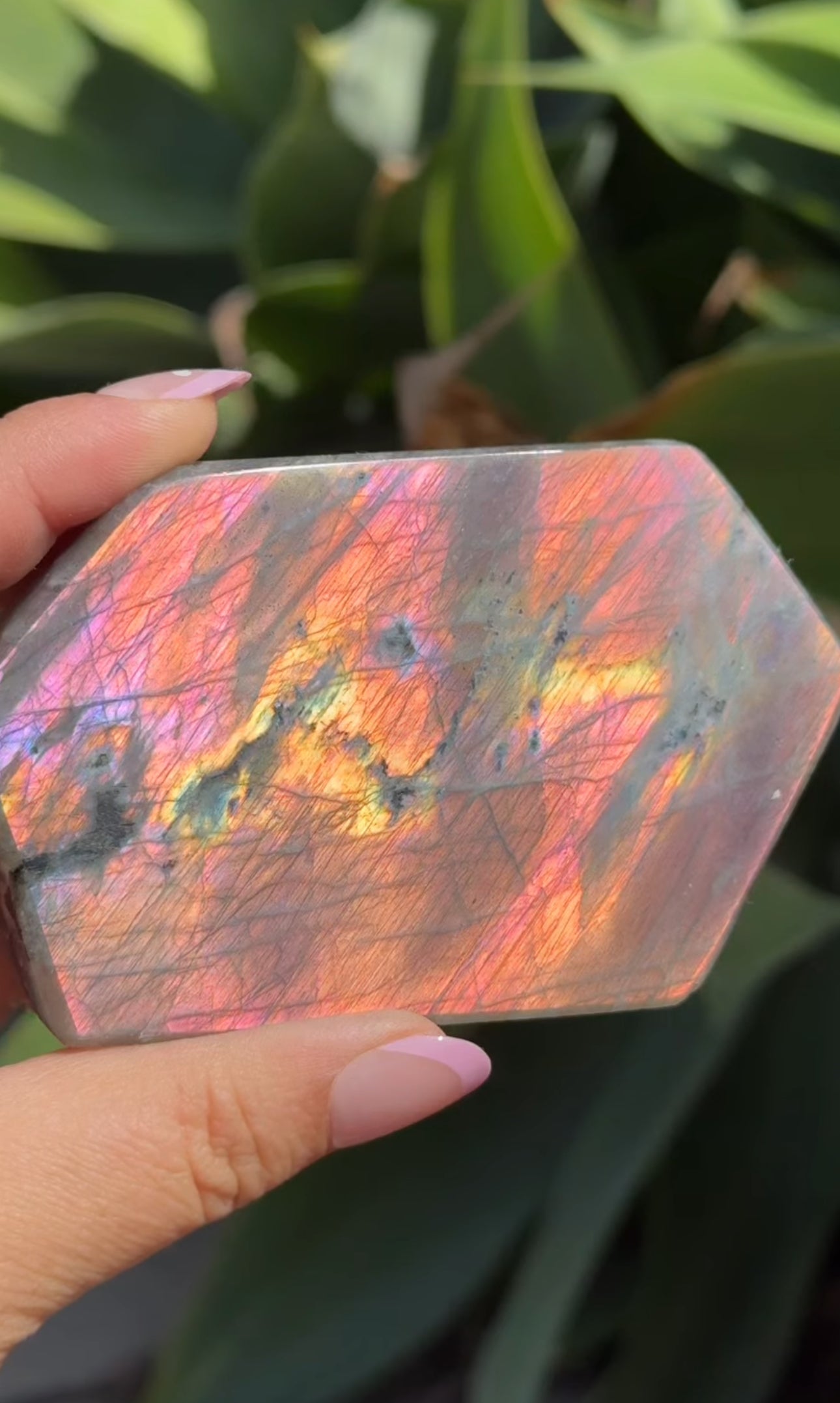 
                  
                    RESERVED LISTING - jessicasoloverly
                  
                