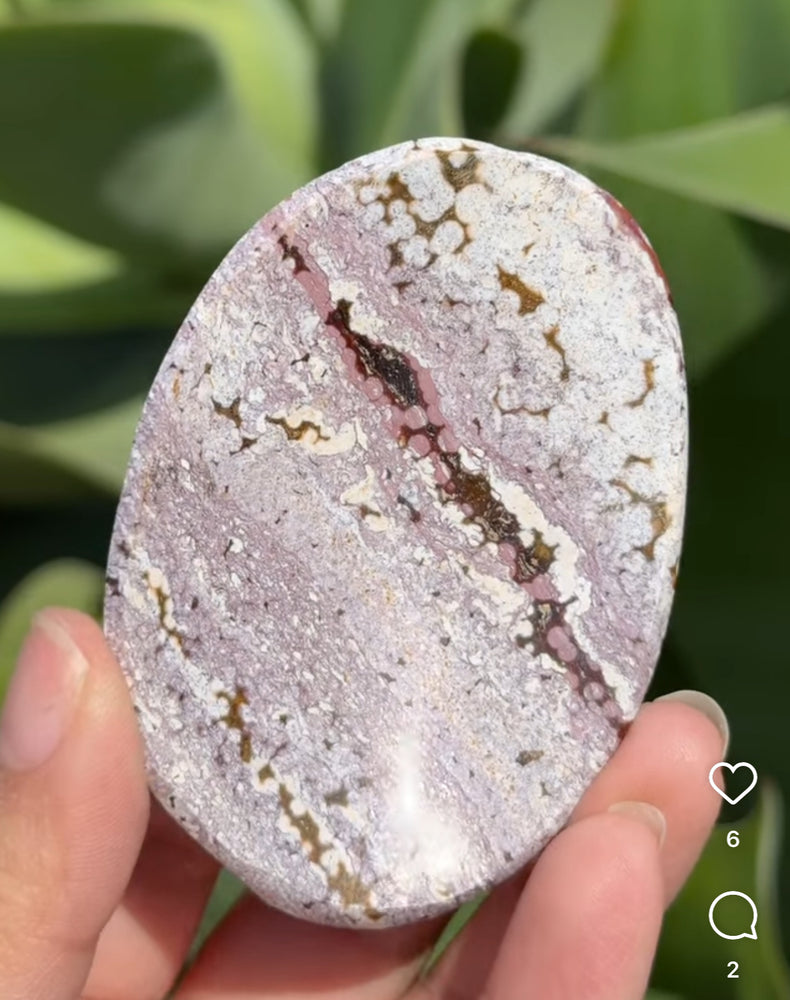 
                  
                    RESERVED LISTING - apollothelifesavingservicedog
                  
                