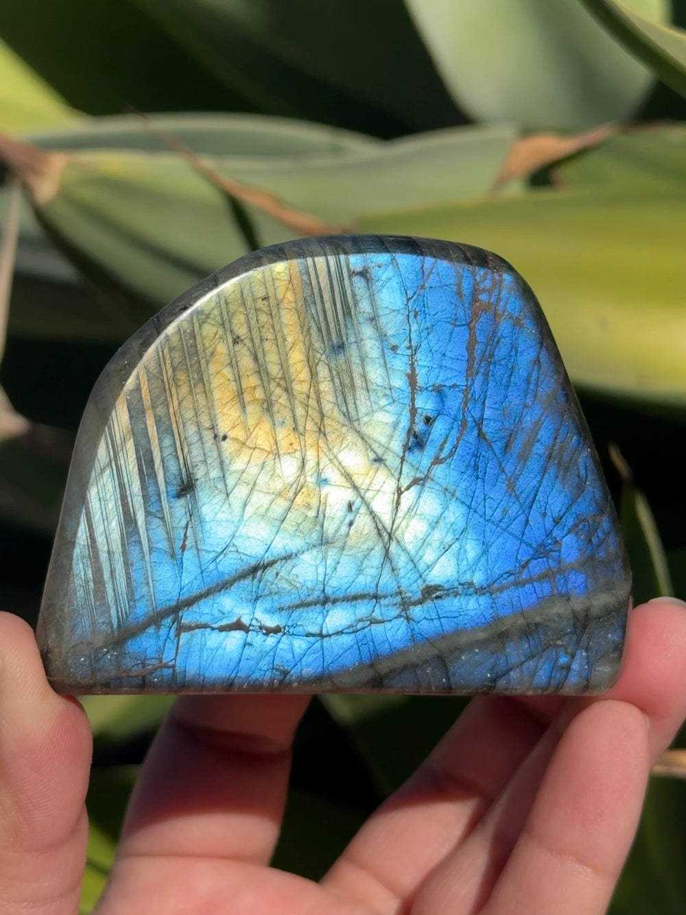 Labradorite Freeform