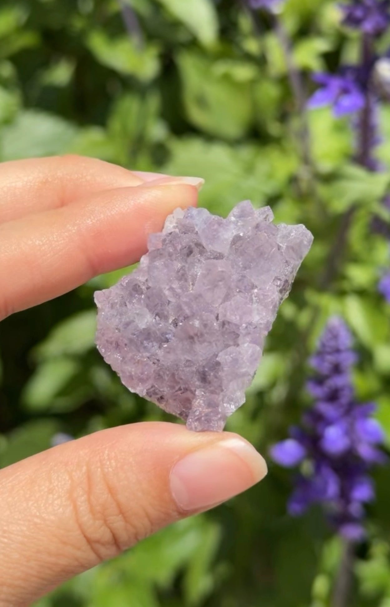 
                  
                    RESERVED LISTING - lavender.starlight.dreams
                  
                