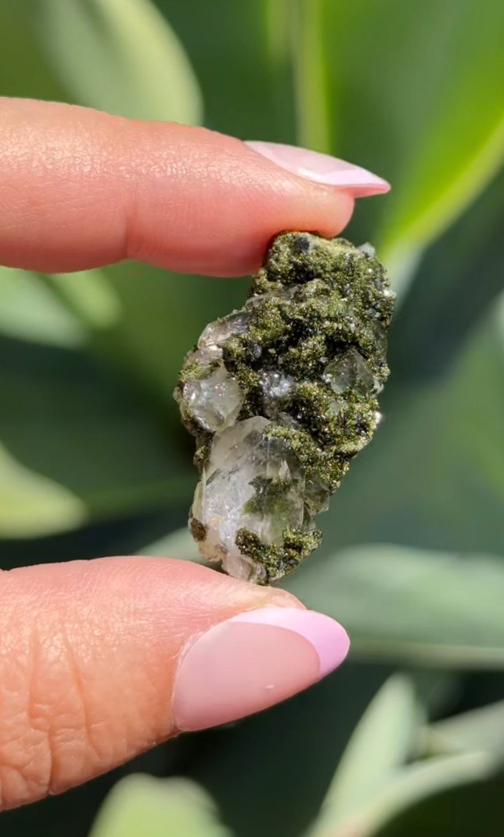 
                  
                    RESERVED LISTING - erinfetz
                  
                