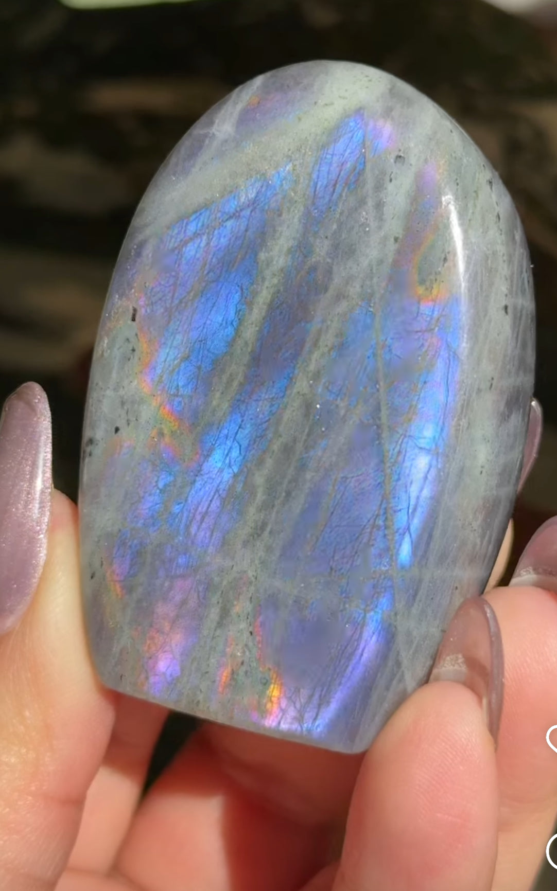 
                  
                    RESERVED LISTING - huskies_n_moon
                  
                