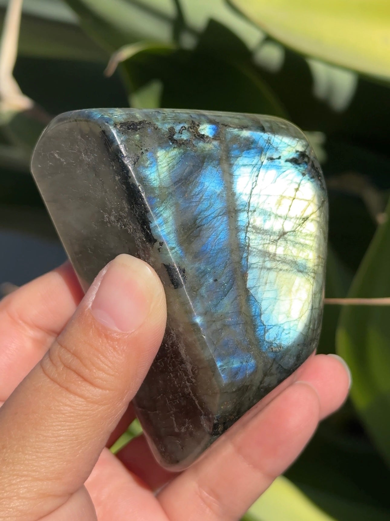 
                  
                    Labradorite Freeform
                  
                