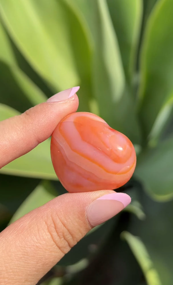 
                  
                    RESERVED LISTING - red_letter187
                  
                