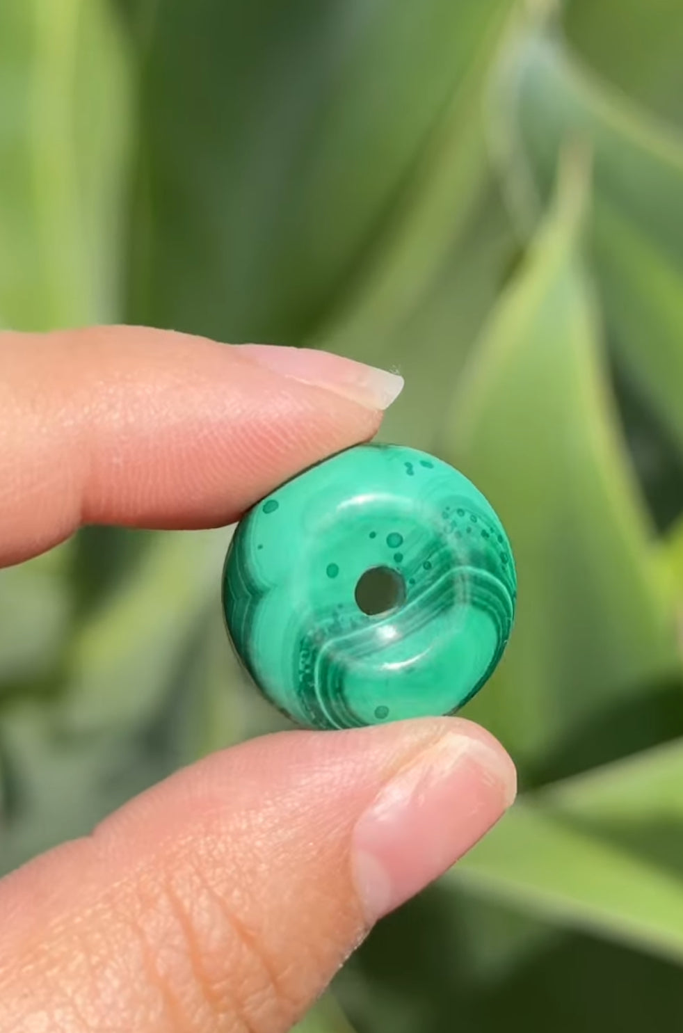 
                  
                    RESERVED LISTING - apollothelifesavingservicedog
                  
                