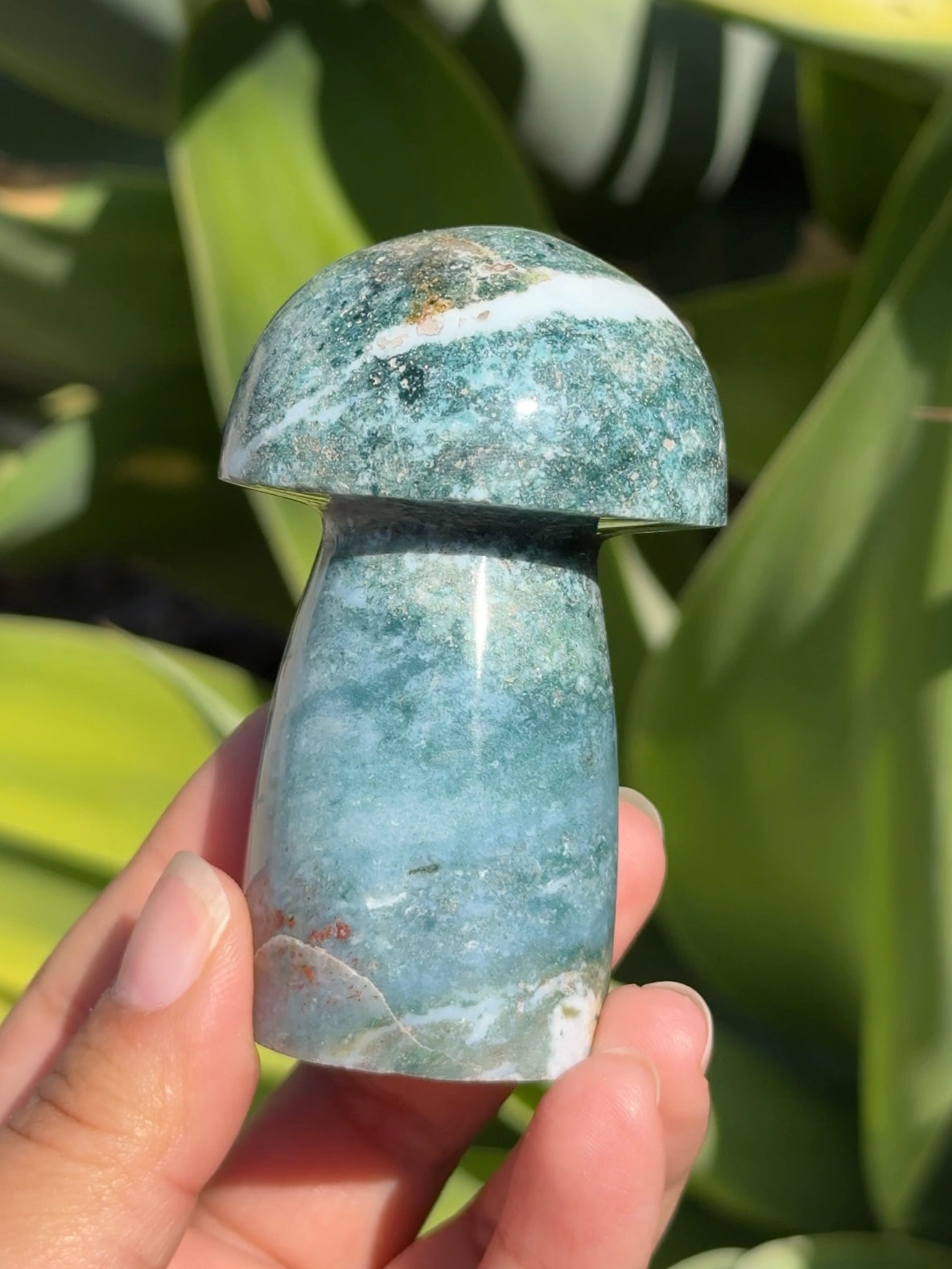 
                  
                    Ocean Jasper Mushroom
                  
                