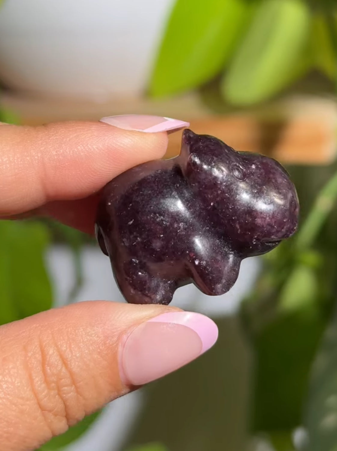 
                  
                    RESERVED LISTING - erinfetz
                  
                