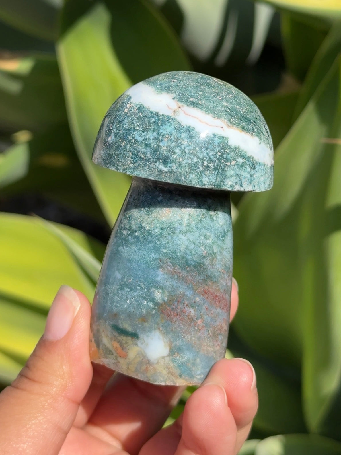 
                  
                    Ocean Jasper Mushroom
                  
                