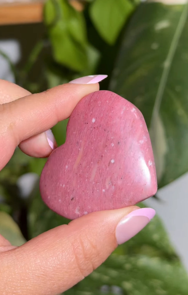 
                  
                    RESERVED LISTING - apollothelifesavingservicedog
                  
                