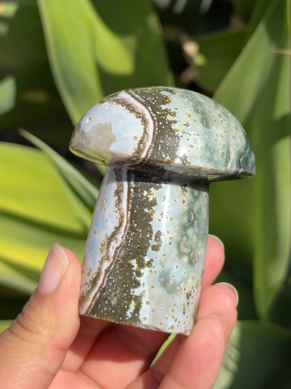 Ocean Jasper Mushroom