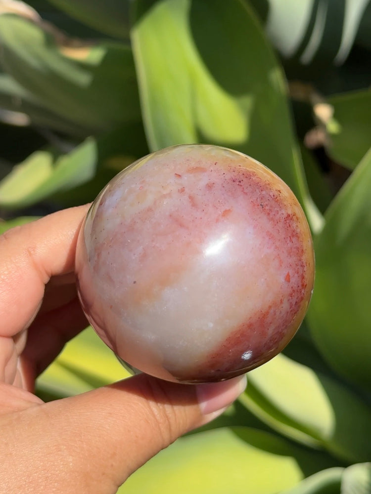 
                  
                    Ocean Jasper Mushroom
                  
                