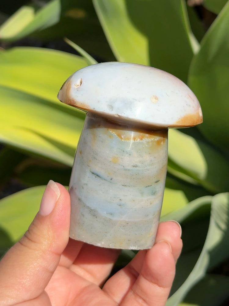 
                  
                    Ocean Jasper Mushroom
                  
                