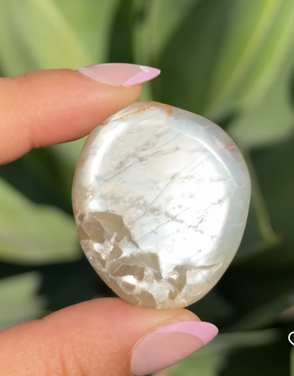 
                  
                    RESERVED LISTING - wildfire.witch
                  
                