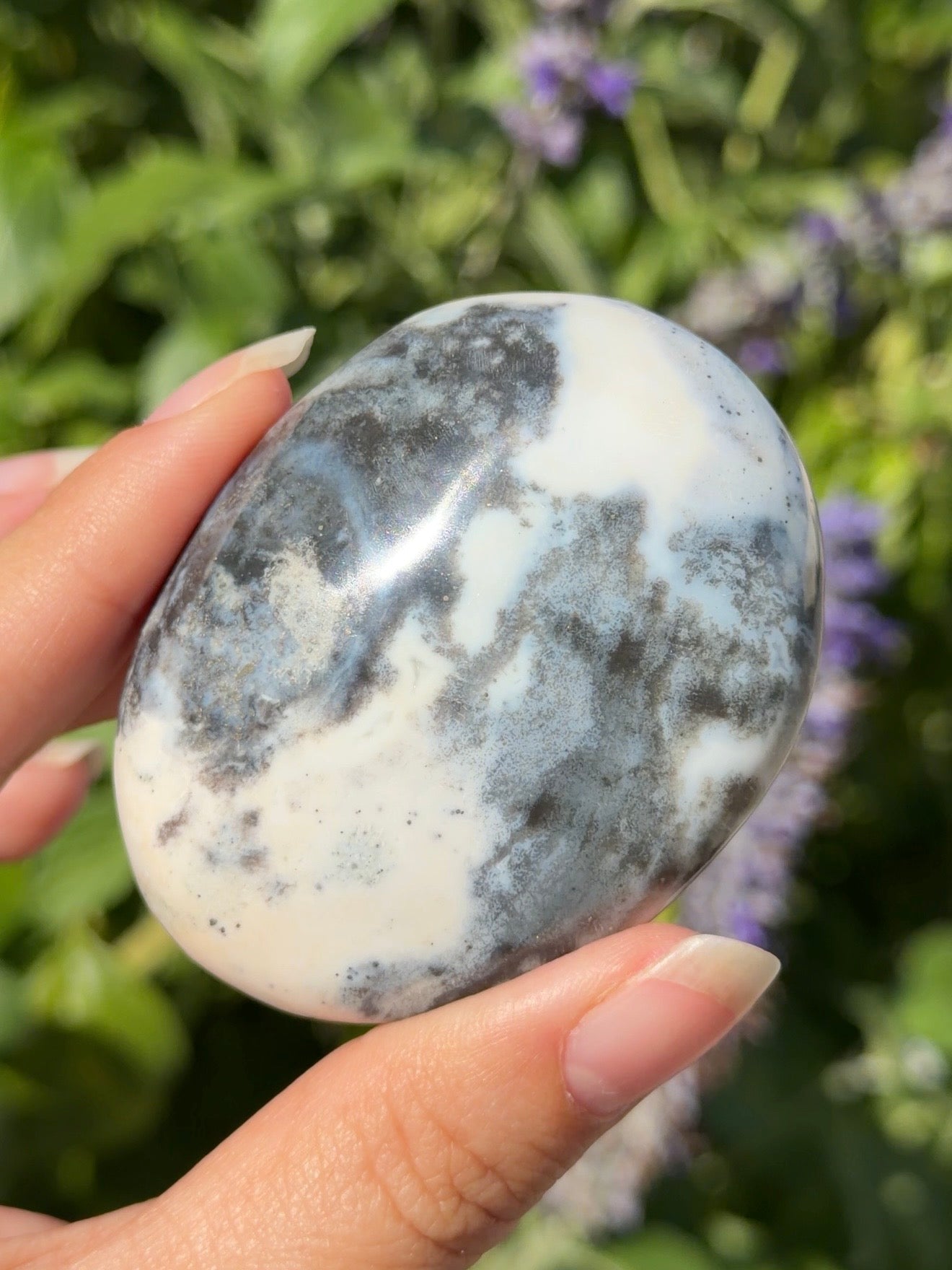 
                  
                    Stormy Ocean Jasper Palm Stone
                  
                