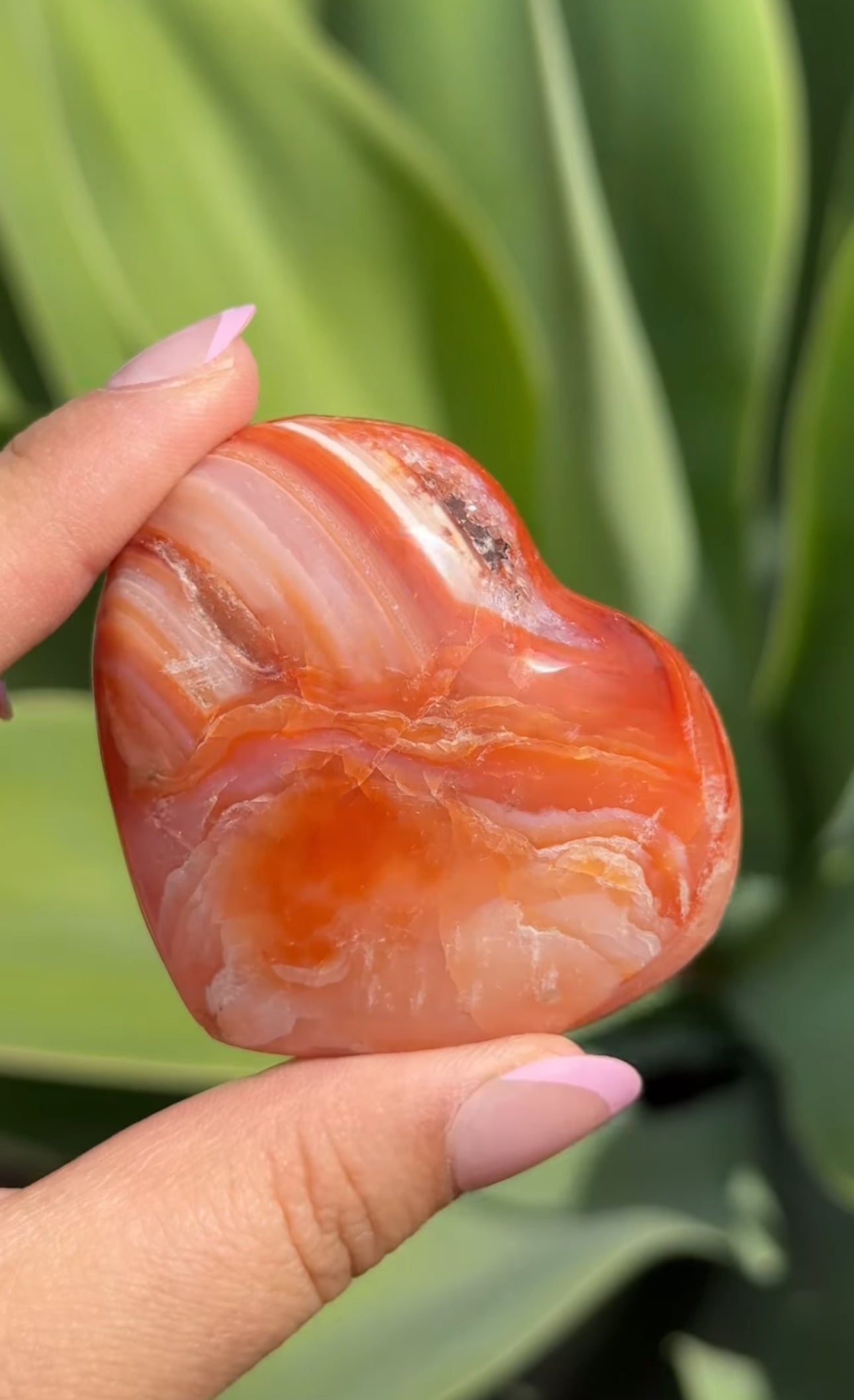 
                  
                    RESERVED LISTING - Viv
                  
                