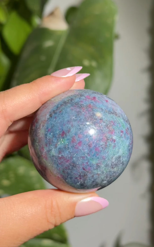 
                  
                    RESERVED LISTING - apollothelifesavingservicedog
                  
                