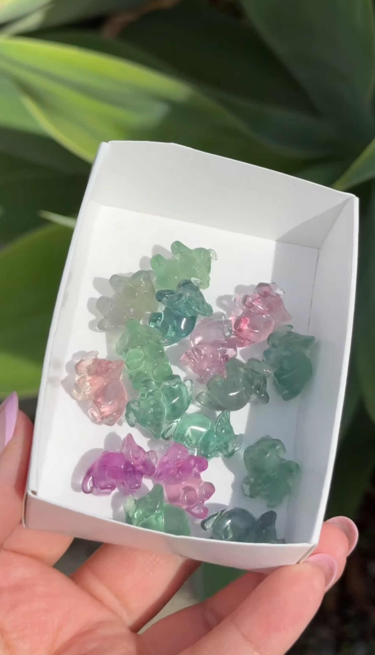 
                  
                    RESERVED LISTING - red_letter187
                  
                