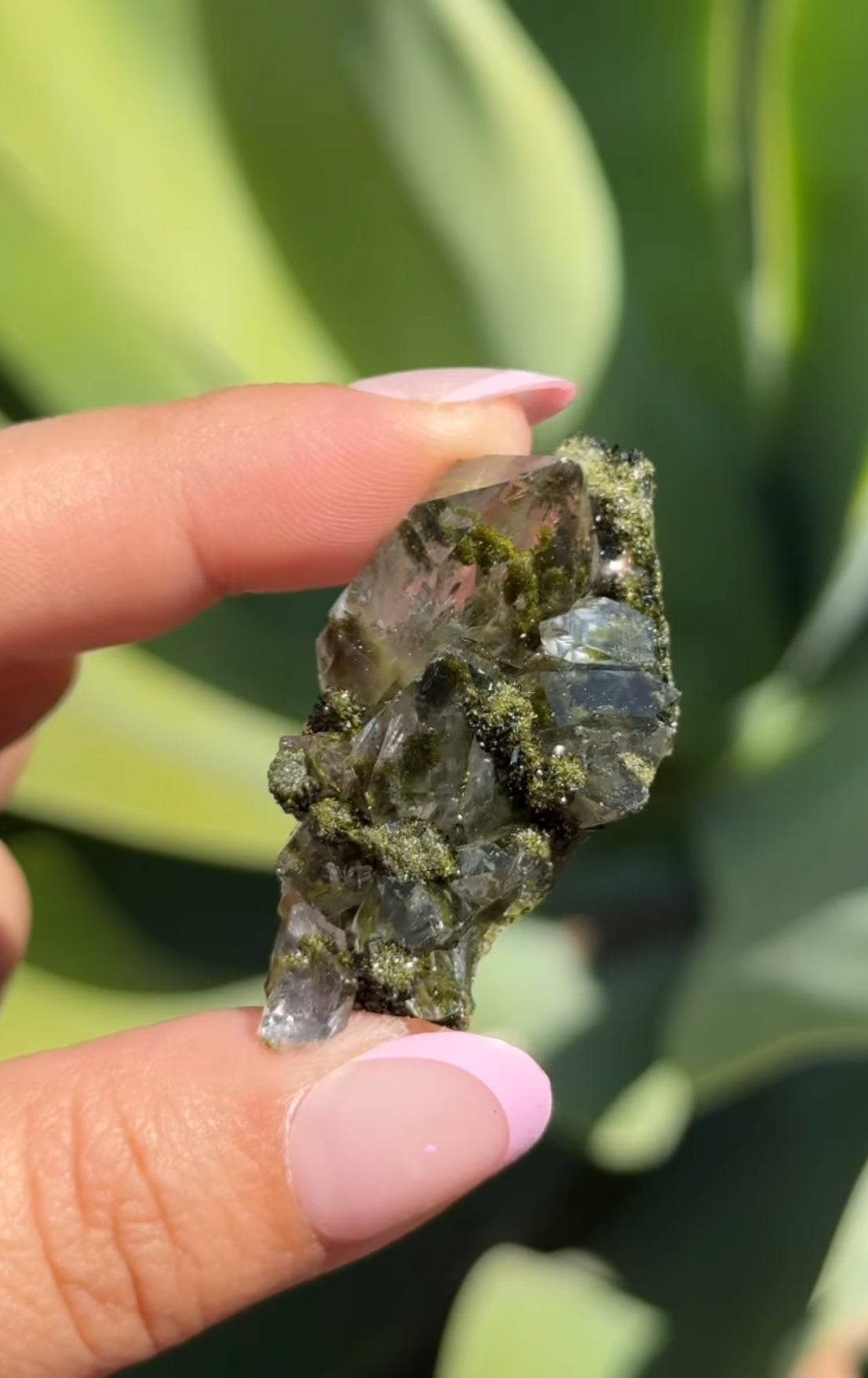 
                  
                    RESERVED LISTING - solarly_challenged
                  
                