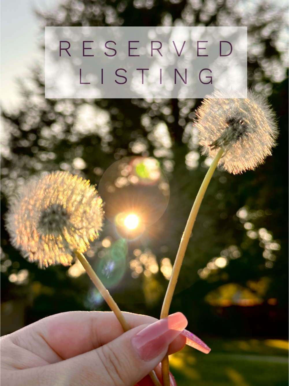 RESERVED LISTING - melty82