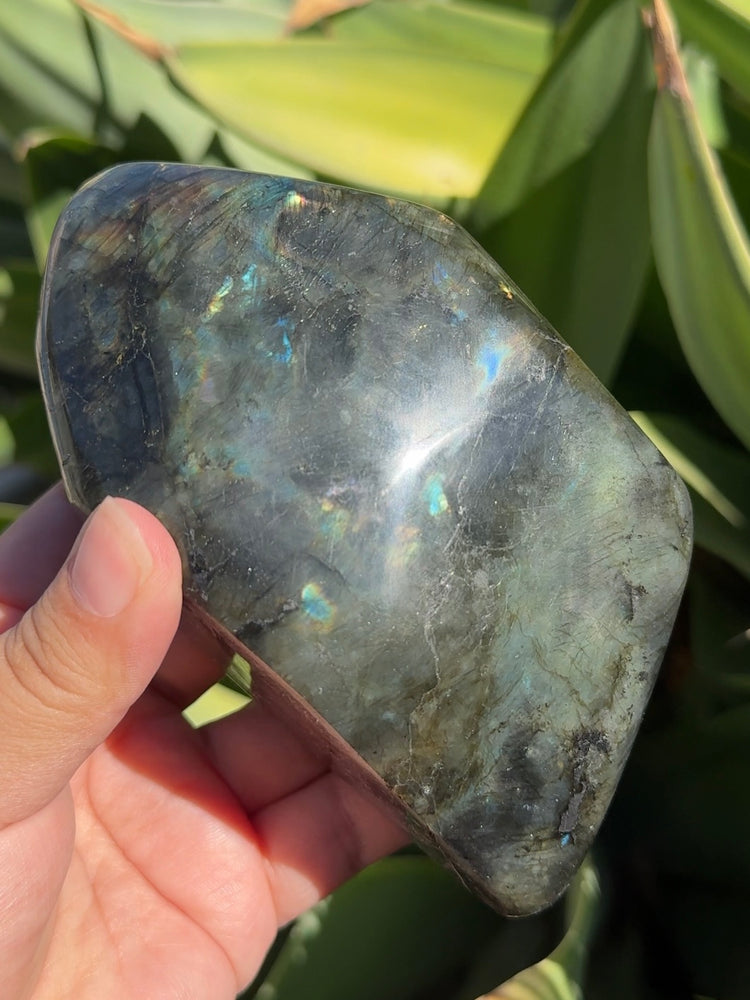 
                  
                    Labradorite Freeform
                  
                