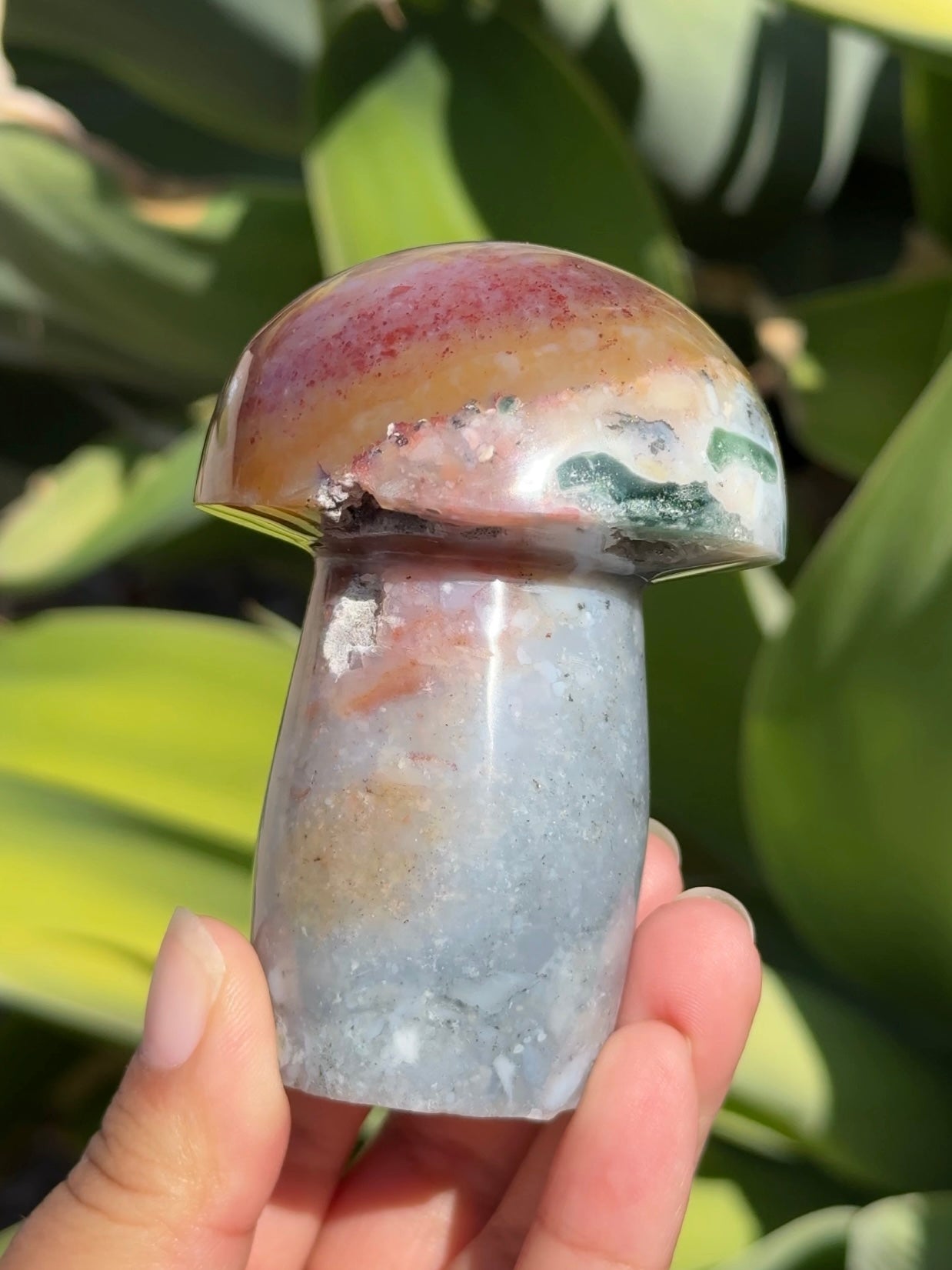 
                  
                    Ocean Jasper Mushroom
                  
                