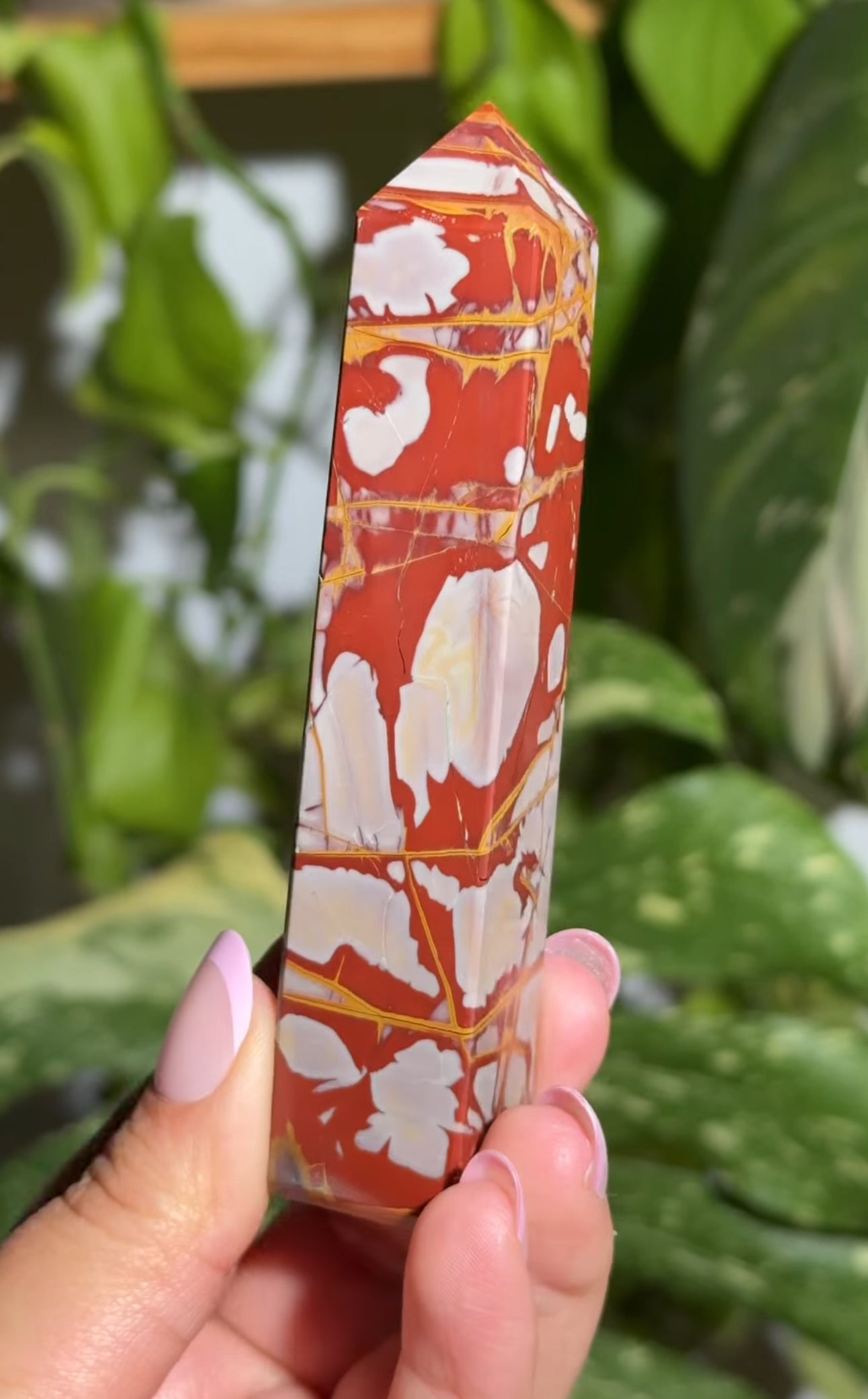 
                  
                    RESERVED LISTING - apollothelifesavingservicedog
                  
                