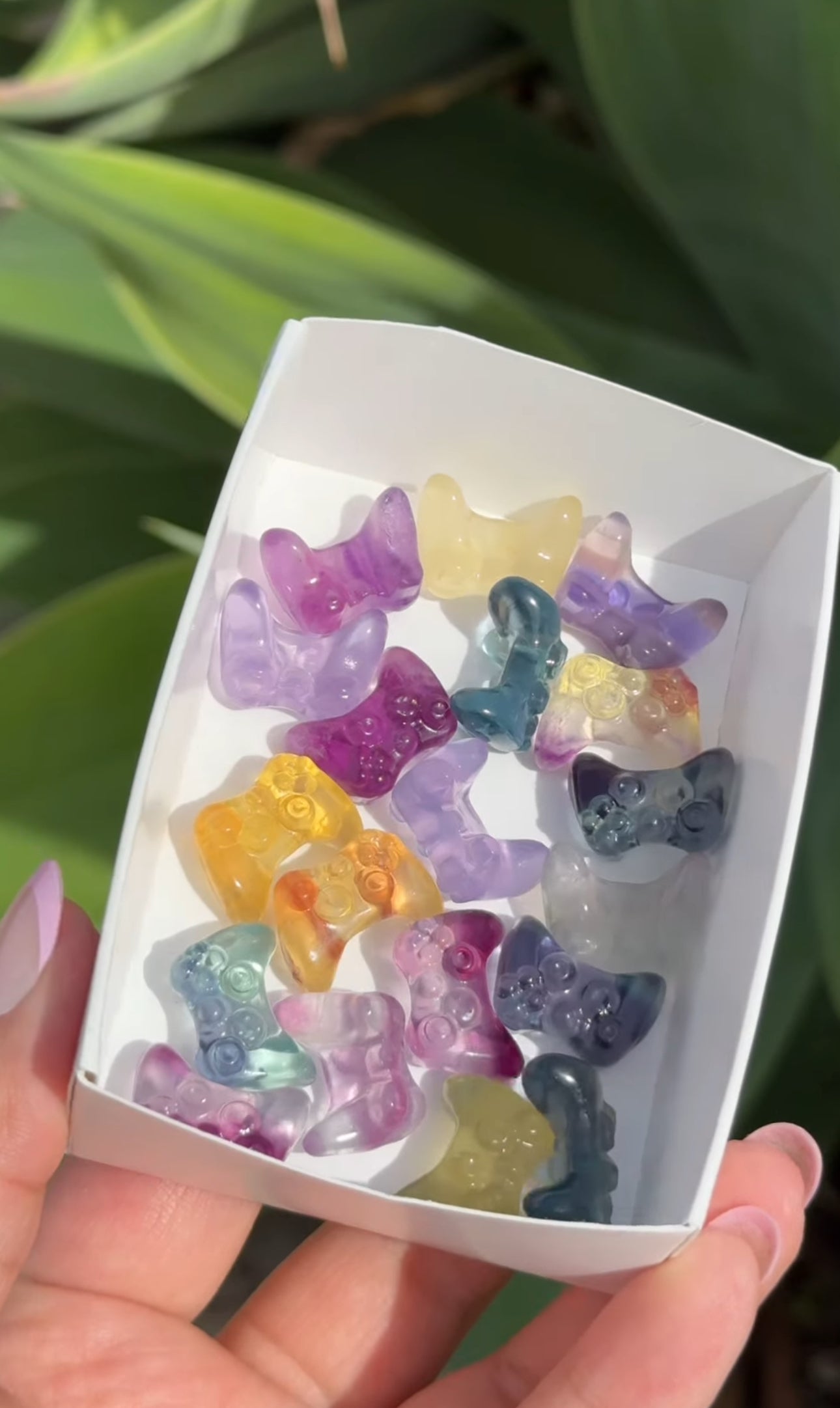 
                  
                    RESERVED LISTING - red_letter187
                  
                