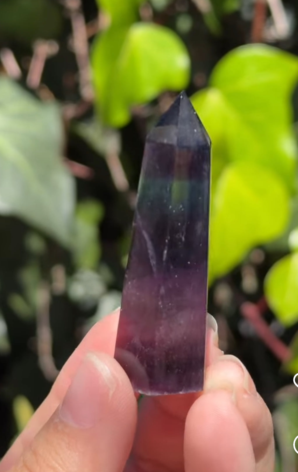 
                  
                    RESERVED LISTING - apollothelifesavingservicedog
                  
                